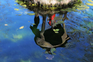 La mostra “Sul mare luccica…” arriverà a Siracusa